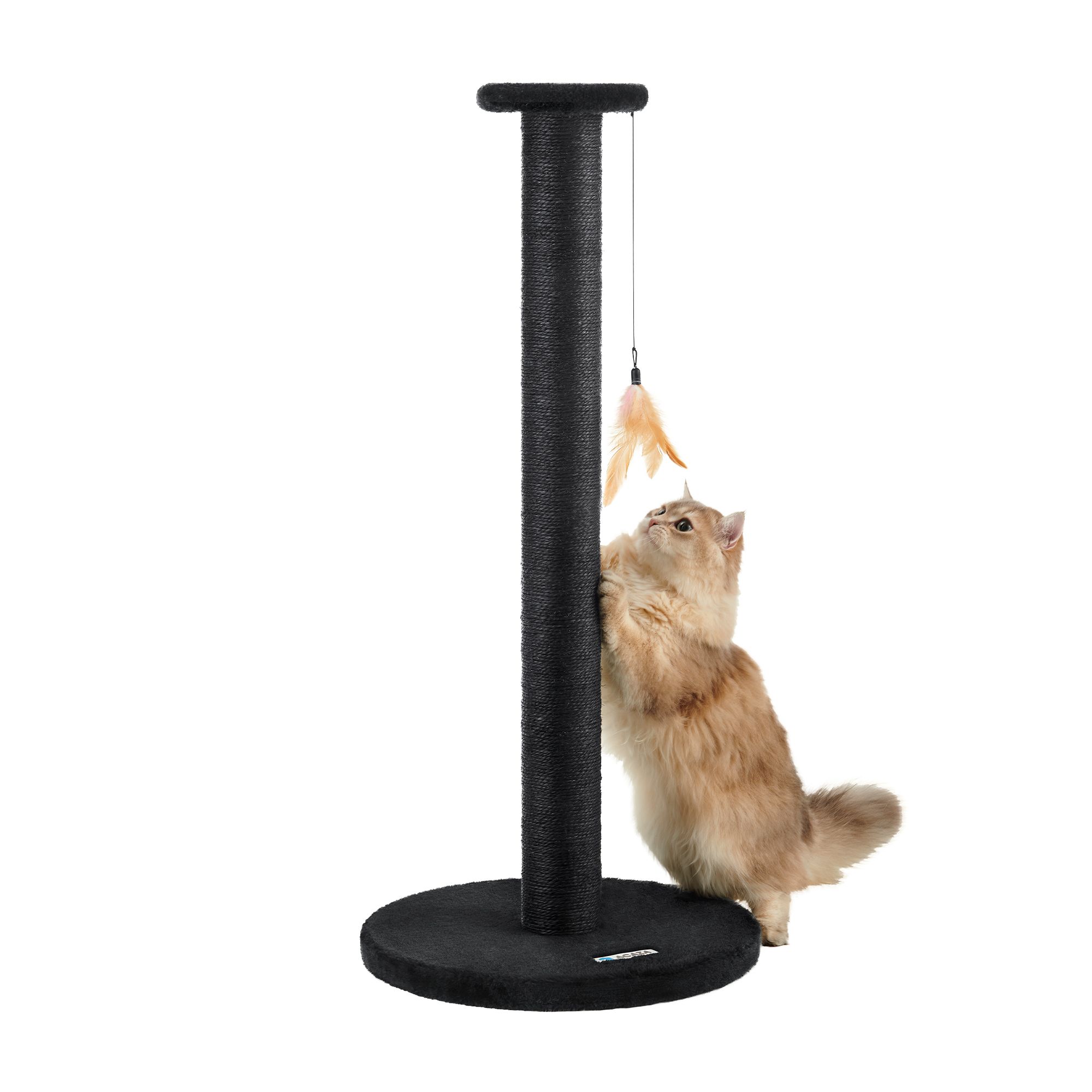 Arbre à chat - griffoir - 90 cm - noir