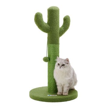Arbre à chat - cactus - 75 cm - vert